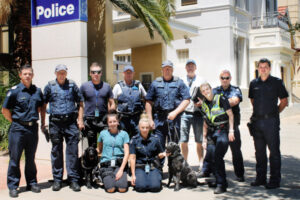 15 arrested in drug busts