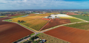 Foreign investors ‘have the money’ to buy up local farms