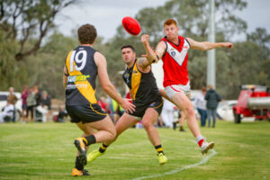 Red Cliffs salute 200-gamer in comeback win