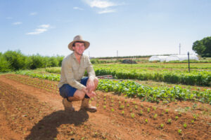 Downsizing becomes a big farming enterprise