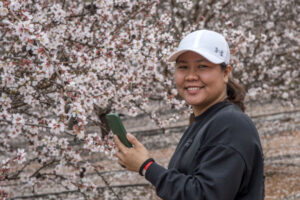 Festival’s popularity blossoms