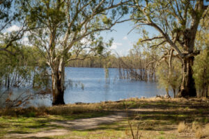 River management tour for uni students