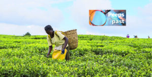 Down the years: International trade affects Australian business owners