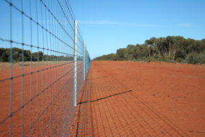Farming: Water protection pilot planned
