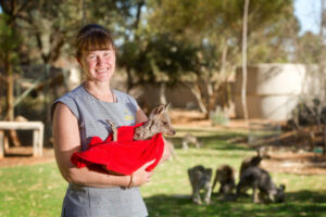 Our wildlife warrior: Sunraysia joey care at maximum capacity due to dry conditions