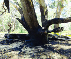 Park blaze a reminder of summer risk