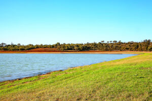 Shore to be a big night