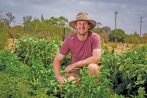 Ticking boxes on sustainability