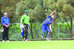 Swallows remain quietly confident