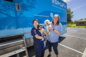 Free virus vaccination for dogs