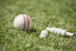 Sunraysia cricket sees the white