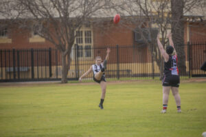 Magpies eye flag