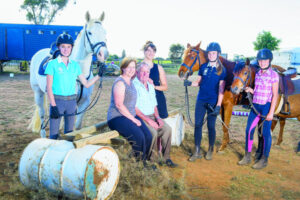 Good time to horse around