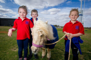 Nichols Point students meet Shetland pony