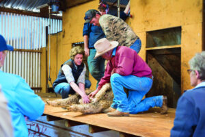 Time to get biosecurity plans in order