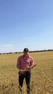 Farming: Technology solves soil dilemmas