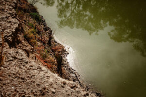 Algae warning Anabranch