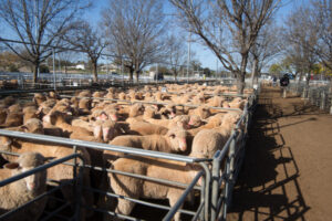 Subsidy backs disease testing