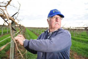 Water release ‘discriminatory’, say Sunraysia irrigators