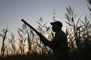 Renewed push to ban duck hunting