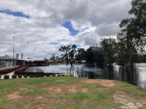 Photos of flooding near Euston Club and Boundary Bend