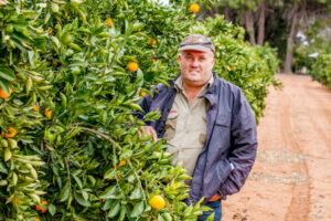 Growers aim to keep it sweet with frost mitigation