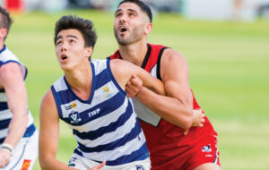 Dogs finish full of run