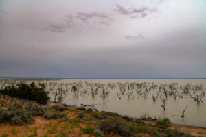 NSW floodplain harvesting level rules ‘beyond insulting’