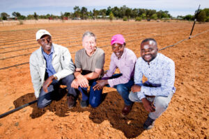 African refugee farmers find new purpose in Sunraysia