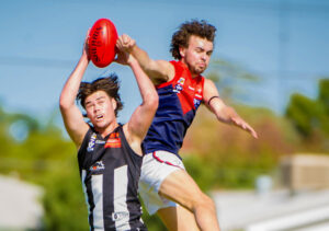 Carmichael, Stephens shine in AFL