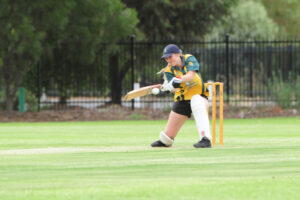 Willowfest cricket: Pointers account for Fire Brigade