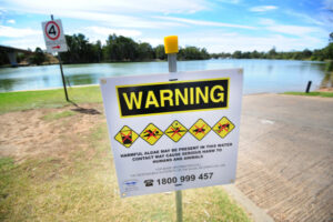 Blue-green algae alert for Murray River