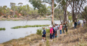 Boost for Merbein Common, wetlands