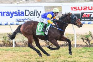 Solsay’s last tilt at Mallee Cup victory