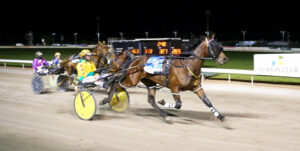 Trainer clicks with Linxx