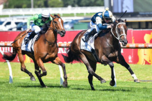 Mildura Cup win transformed mercurial mare