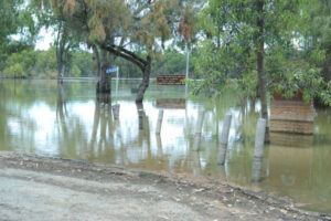 Buronga visit for flood grants team