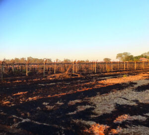 Burn off prompts fire warning