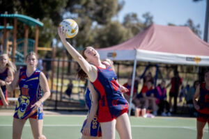 Dees decimate Lions to make grand final