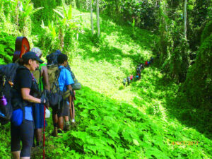 Walking the Kokoda Track