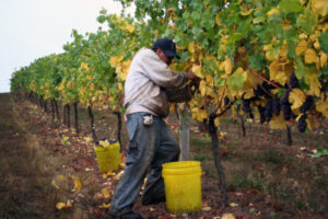 Farming: Budget ‘backs growth’