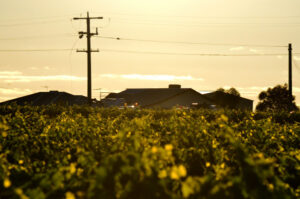 Engine ‘starved of fuel’