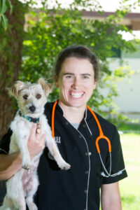 Sunraysia puppy owners get canine parvovirus warning
