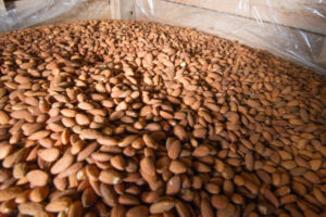 Sunraysia almonds used in blockchain shipping trial