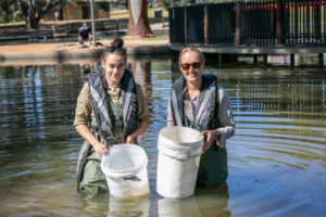 Fish rescue in the can