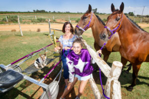 Cardross harness trainer badly injured in race fall