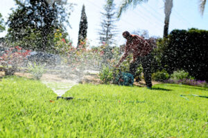 Daily matters: It’s time to be water-wise