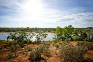Mildura Council says bushland needs care
