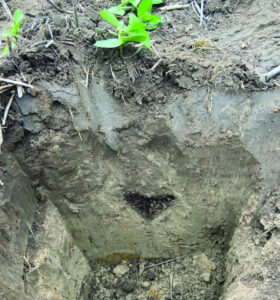 Help for subsoil decisions