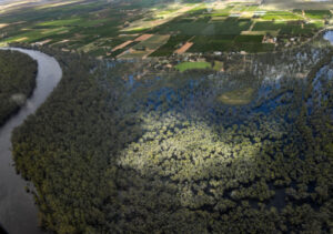 Flood of thanks for Nangi